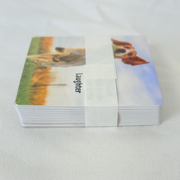 NWT Professor Puzzle Life Advice From Pawsitive Pups & Critical Kittens - Picture 5 of 5